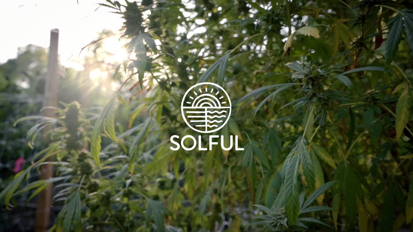 Solful Cannabis - About Us Video 2020